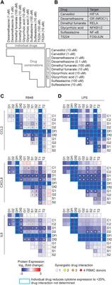 Therapeutic Targeting of Transcription Factors to Control the Cytokine Release Syndrome in COVID-19